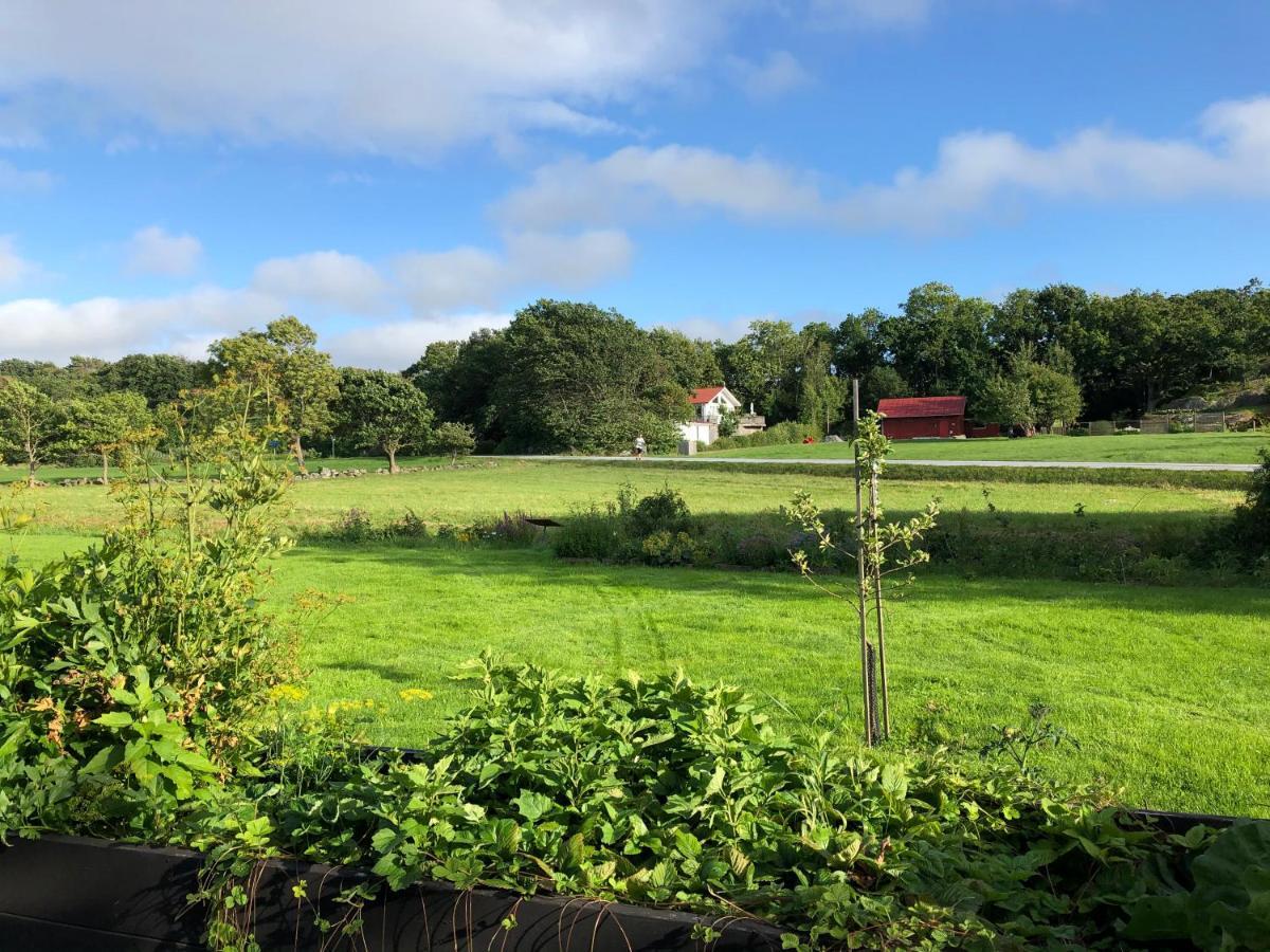 Mysig Nybyggd Stuga Naera Hav Och Natur Klovedal المظهر الخارجي الصورة
